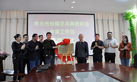 青岛市珍稀花卉种质种苗专家事情站揭牌，开启花卉工业新征程